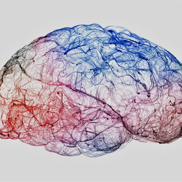 Media Center - Neuro-Insight